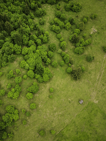 Reducing land use for fashion and maximising land use for agriculture